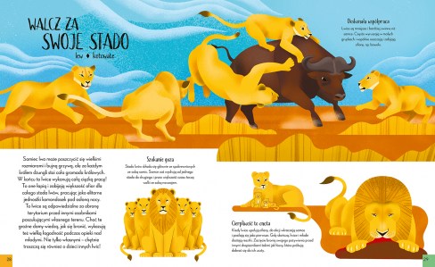 028-029 Krolowe swiata zwierzat elibri